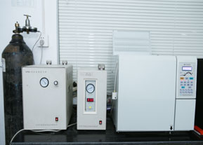 gas chromatograph